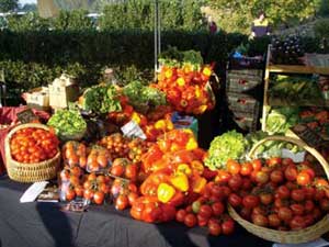 food member image
